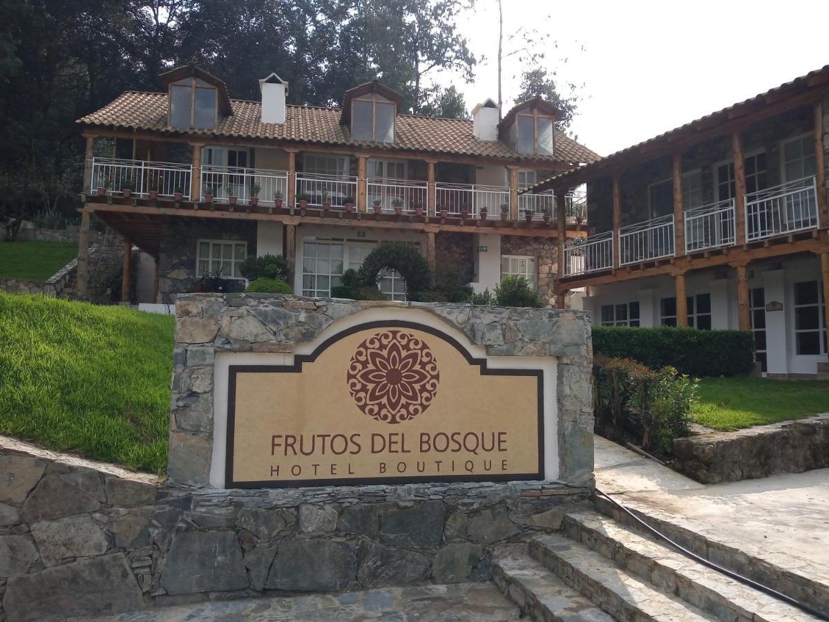 Hotel Frutos Del Bosque Сакатлан Экстерьер фото
